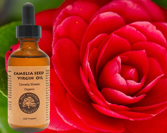 Camellia Seed Oil (Organic, Cold Pressed) for